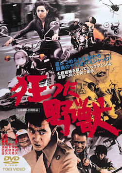 Japanese DVD releases (cult / vintage) - The Cinehound Forum 